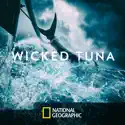 Wicked Tuna, Season 7 watch, hd download