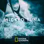 Wicked Tuna, Season 7