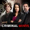 Criminal Minds, Season 14 watch, hd download