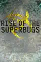 Rise of the Superbugs summary and reviews