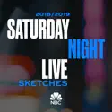 SNL: 2018/19 Season Sketches cast, spoilers, episodes, reviews