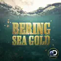 Bering Sea Gold, Season 10 cast, spoilers, episodes, reviews