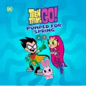 Teen Titans Go! Pumped for Spring cast, spoilers, episodes, reviews