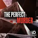 The Perfect Murder, Season 5 cast, spoilers, episodes, reviews