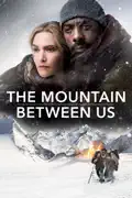 The Mountain Between Us summary, synopsis, reviews