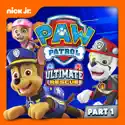 Ultimate Rescue: Pups Save the Tigers (PAW Patrol) recap, spoilers