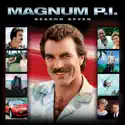 Magnum, P.I., Season 7 watch, hd download