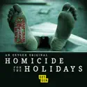 Homicide for the Holidays, Season 2 release date, synopsis, reviews