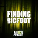 Finding Bigfoot, Season 11 watch, hd download