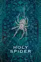 Holy Spider summary and reviews