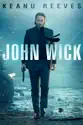 John Wick summary and reviews