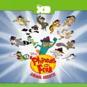 Phineas and Ferb, Animal Agents! watch, hd download