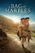 A Bag of Marbles summary, synopsis, reviews