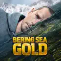 Bering Sea Gold, Season 15 reviews, watch and download