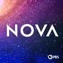 New Eye on the Universe - NOVA from NOVA, Vol. 26
