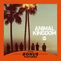 Animal Kingdom, Season 1 watch, hd download