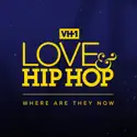 Love & Hip Hop: Where Are They Now, Season 1 cast, spoilers, episodes and reviews