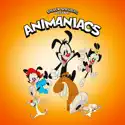 Animaniacs, Season 2 cast, spoilers, episodes, reviews
