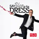 Say Yes to the Dress, Season 15 cast, spoilers, episodes, reviews