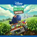 Big City Greens, Vol. 6 release date, synopsis and reviews