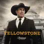 Inside Yellowstone - Season 5