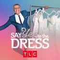 Say Yes to the Dress, Season 21 watch, hd download