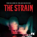 The Strain, Season 1 cast, spoilers, episodes, reviews