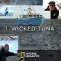 Wicked Tuna, Season 6