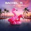 804 - Bachelor in Paradise from Bachelor in Paradise, Season 8