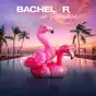 Bachelor in Paradise, Season 8