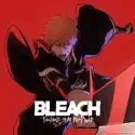 BLEACH: Thousand-Year Blood War (English) - Part 1 reviews, watch and download