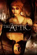 The Attic summary, synopsis, reviews