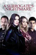 A Surrogate's Nightmare summary, synopsis, reviews