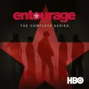 Entourage, The Complete Series tv series