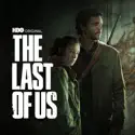 Inside the Episode #8 (The Last of Us) recap, spoilers