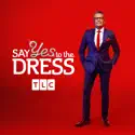 Say Yes to the Dress, Season 19 watch, hd download