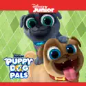 Pigs and Pugs / Bob Loves Mona - Puppy Dog Pals from Puppy Dog Pals, Vol. 1