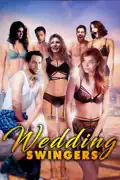 The Wedding Swingers summary, synopsis, reviews