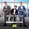 Million Dollar Listing: New York, Season 8 cast, spoilers, episodes and reviews