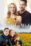 The Birthday Wish summary, synopsis, reviews