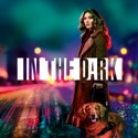 In the Dark, Season 1 cast, spoilers, episodes, reviews