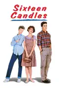 Sixteen Candles summary, synopsis, reviews