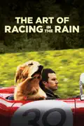 The Art of Racing In the Rain summary, synopsis, reviews