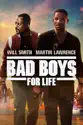 Bad Boys for Life summary and reviews