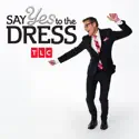 Say Yes to the Dress, Season 18 watch, hd download