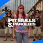 Pit Bulls and Parolees, Season 14