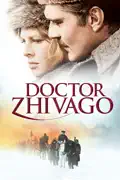 Doctor Zhivago summary, synopsis, reviews