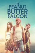 The Peanut Butter Falcon summary, synopsis, reviews