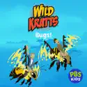 Wild Kratts: Bugs! cast, spoilers, episodes, reviews
