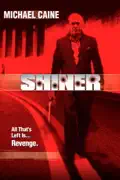 Shiner summary, synopsis, reviews